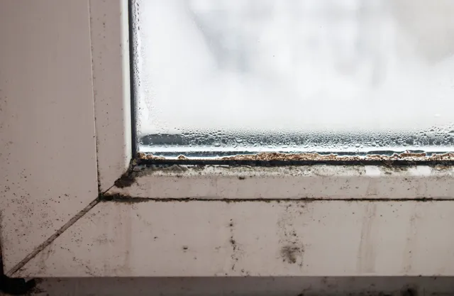 Mold growing in the corner of a window frame